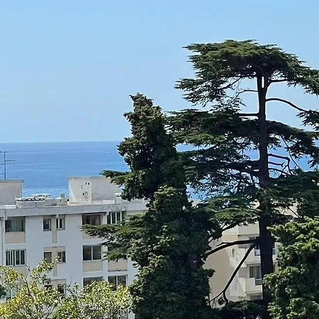 Διαμέρισμα 4 Couchages Superbe Proche De La Mer Vue Mer